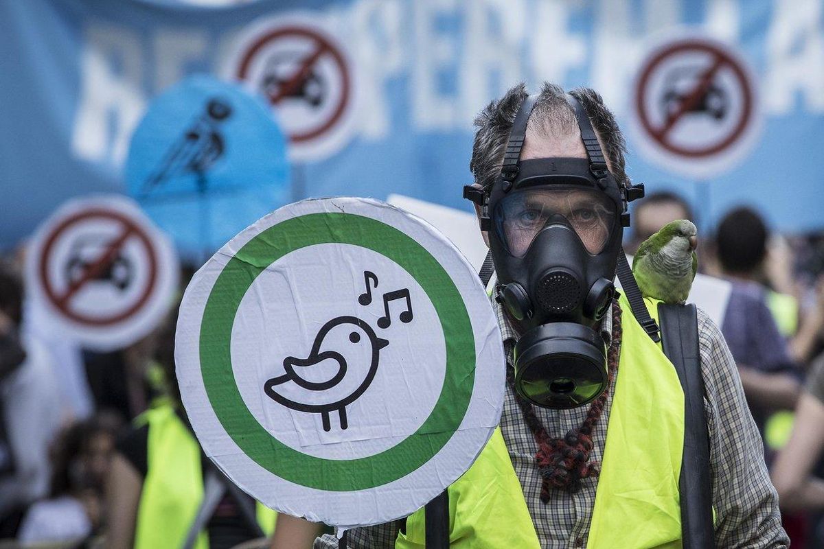Así es la plataforma que ayuda a las empresas españolas a compensar su huella de carbono Así es la plataforma que ayuda a las empresas españolas a compensar su huella de carbono