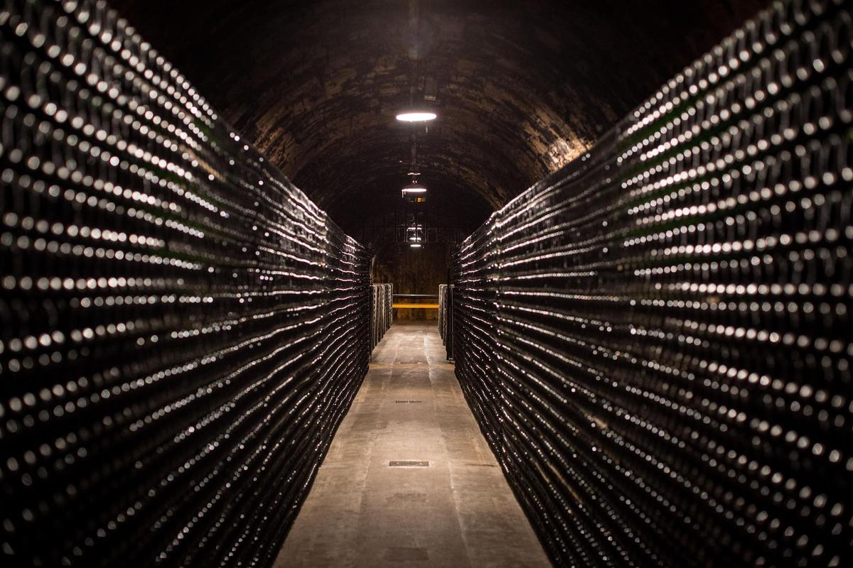 Las cavas de uno de los productores de la D. O. Cava. Las cavas de uno de los productores de la D. O. Cava.