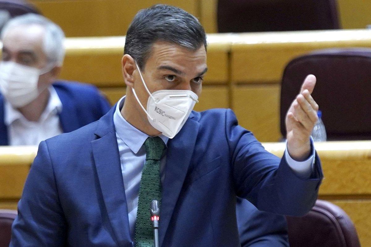 El presidente del Gobierno, Pedro Sánchez, este 17 de noviembre en la sesión de control al Gobierno en el Senado. El presidente del Gobierno, Pedro Sánchez, este 17 de noviembre en la sesión de control al Gobierno en el Senado.