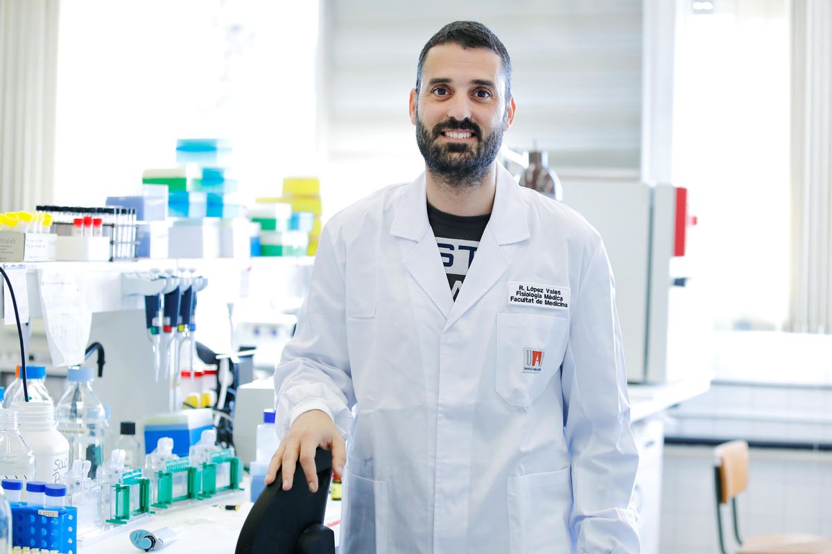 Rubèn López Valés, catedrático del Departamento de Biología Celular, Fisiología e Inmunología e investigador del Instituto de Neurociencias de la UAB. Rubèn López Valés, catedrático del Departamento de Biología Celular, Fisiología e Inmunología e investigador del Instituto de Neurociencias de la UAB.