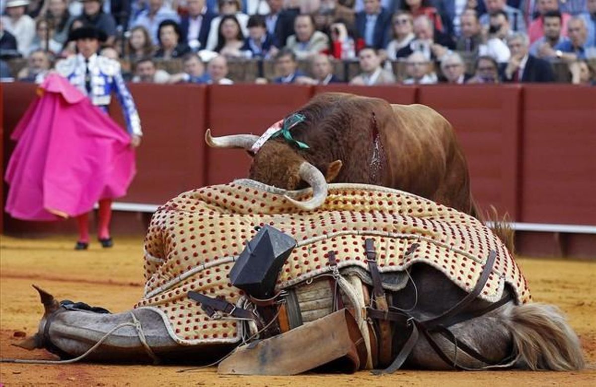 Un toro derriba al caballo del picador en la plaza de la Maestranza, durante la Feria de Abril de Sevilla. Un toro derriba al caballo del picador en la plaza de la Maestranza, durante la Feria de Abril de Sevilla.