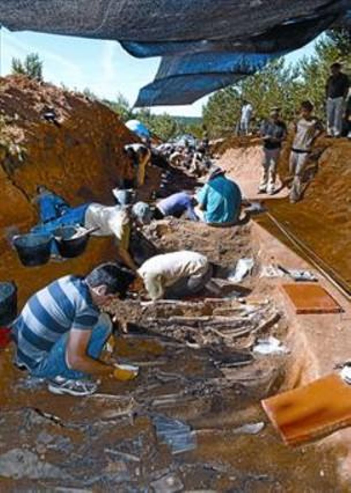 Trabajos de exhumación en La Pedraja, el miércoles. Trabajos de exhumación en La Pedraja, el miércoles.