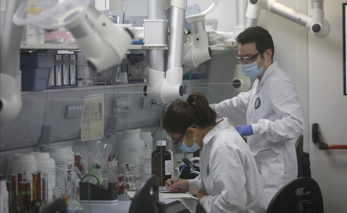 Trabajadores en el laboratorio de la fábrica Reig Jofré, en Barcelona. Trabajadores en el laboratorio de la fábrica Reig Jofré, en Barcelona.