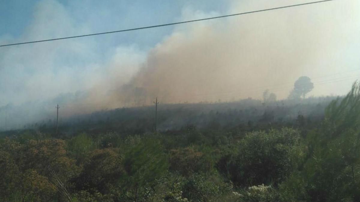 Imagen del incendio en Vilopriu, Girona. Imagen del incendio en Vilopriu, Girona.