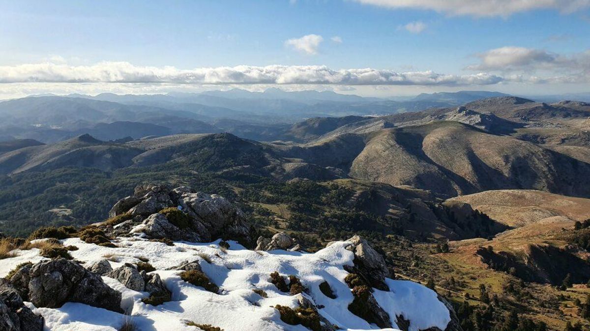 ¿Por qué la Sierra de las Nieves será el tercer parque nacional de Andalucía? ¿Por qué la Sierra de las Nieves será el tercer parque nacional de Andalucía?