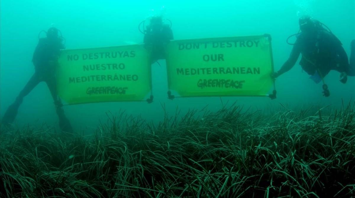 Carteles de Greenpeace sobre la salud del Mediterráneo