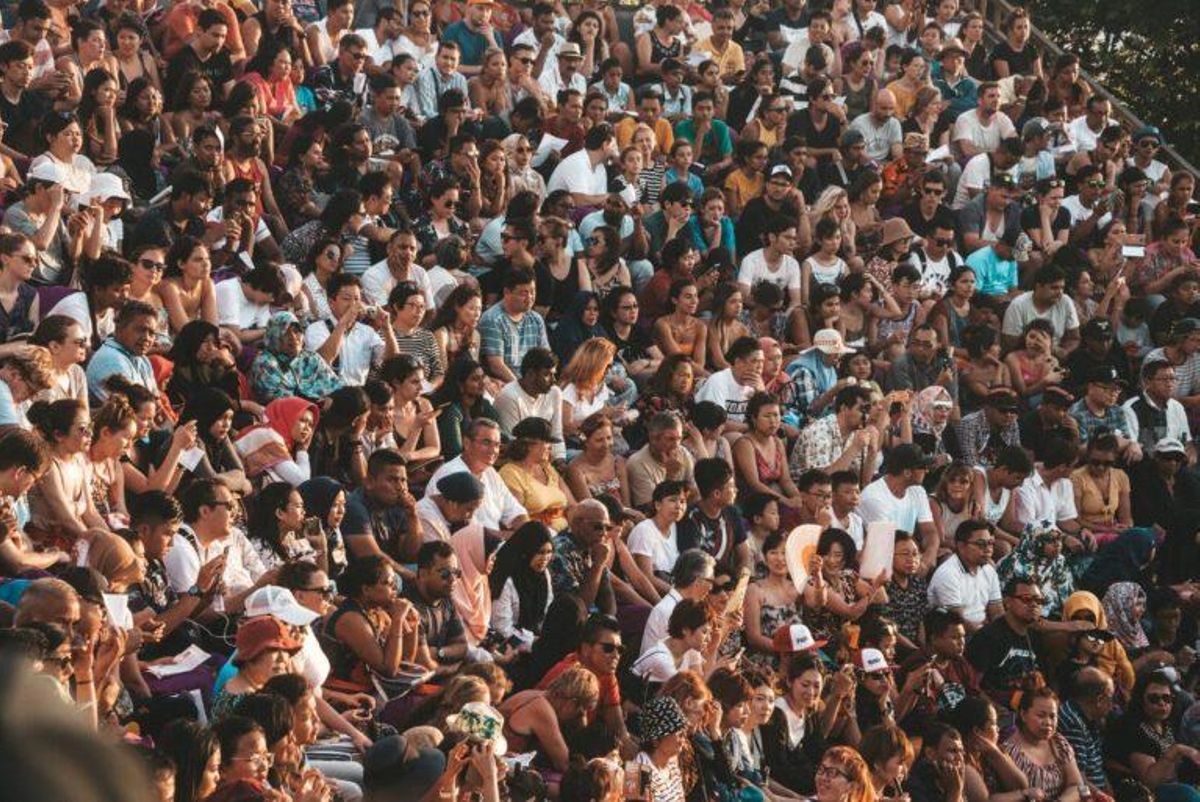 La inteligencia colectiva y la organización social redujeron el tamaño del cerebro humano La inteligencia colectiva y la organización social redujeron el tamaño del cerebro humano