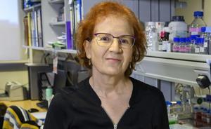 Margarita del Val.