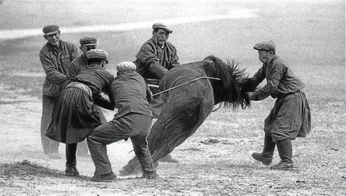 Unos hombres controlan un caballo salvaje con un lazo en Mongolia interior, en 1979.