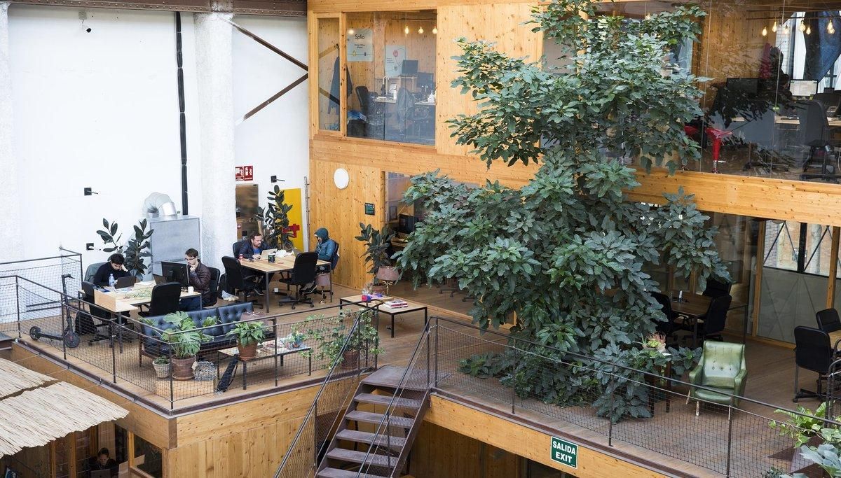 Imagen de las instalaciones del ’venture builder’ Deminum, en Barcelona. Imagen de las instalaciones del ’venture builder’ Deminum, en Barcelona.