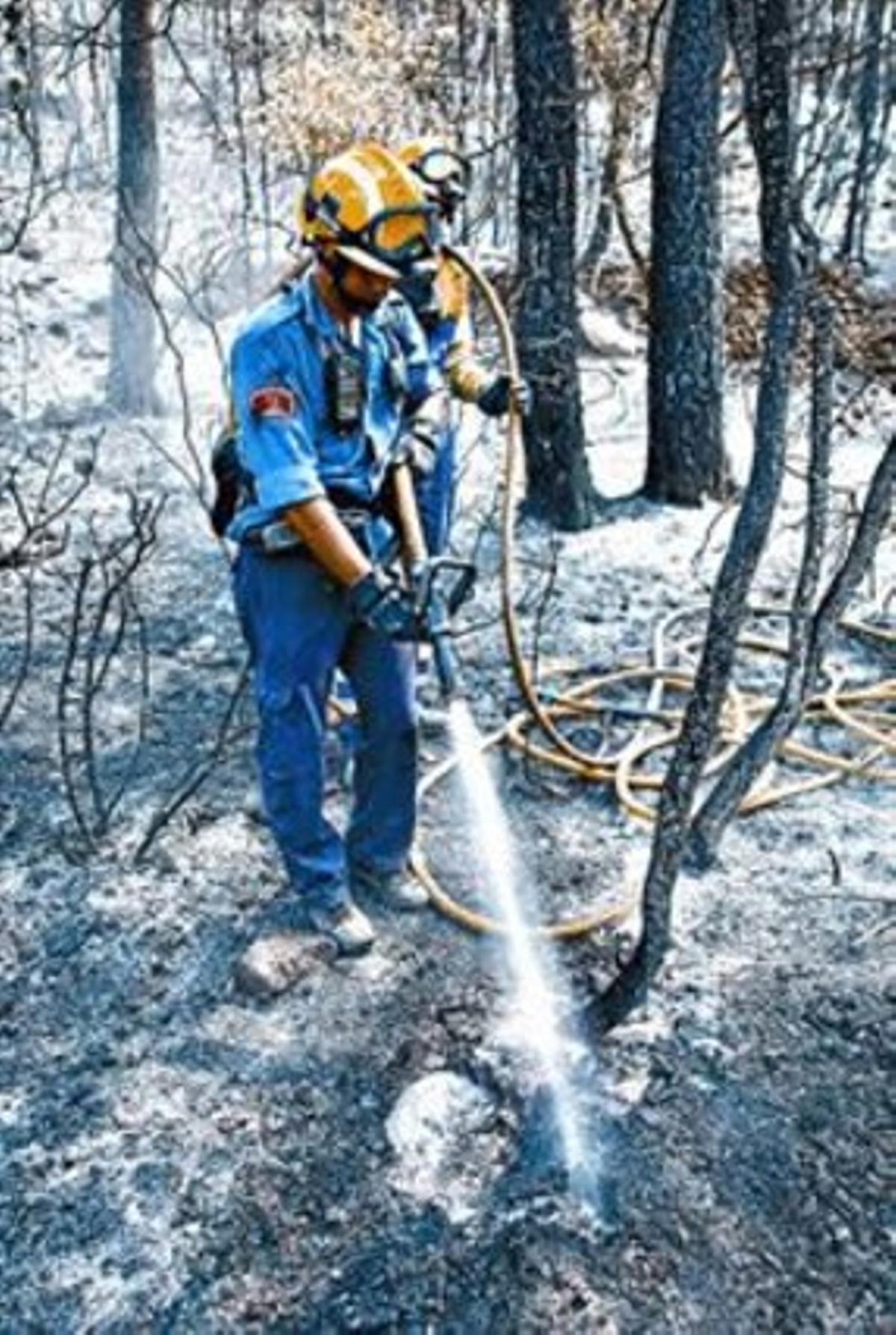 Controlado el incendio forestal de Tarragona