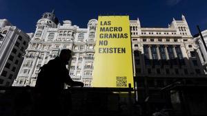 Greenpeace cuelga una pancarta gigante contra las macrogranjas en la Gran Vía de Madrid.