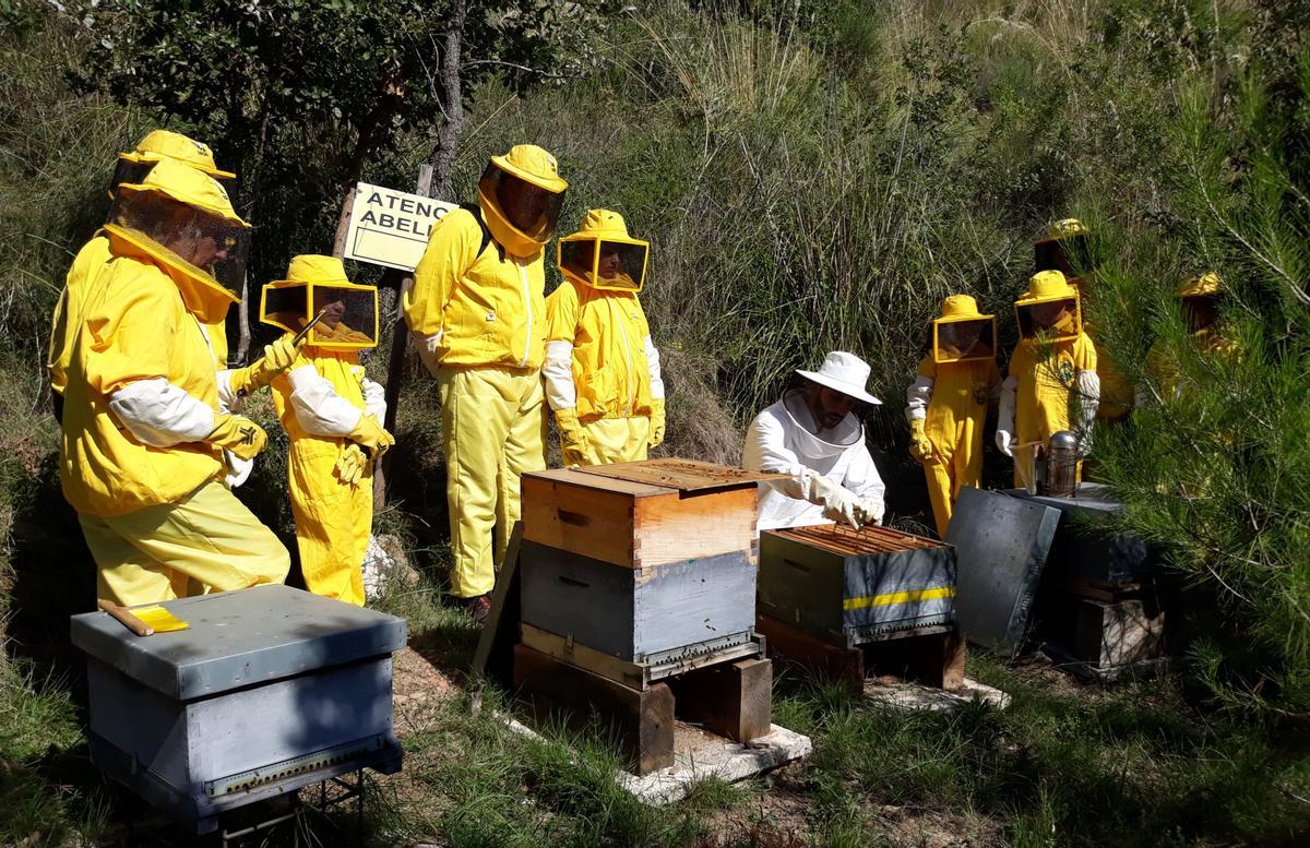 Un proyecto medioambiental traslada abejas de Viladecans al municipio leridano Riner 