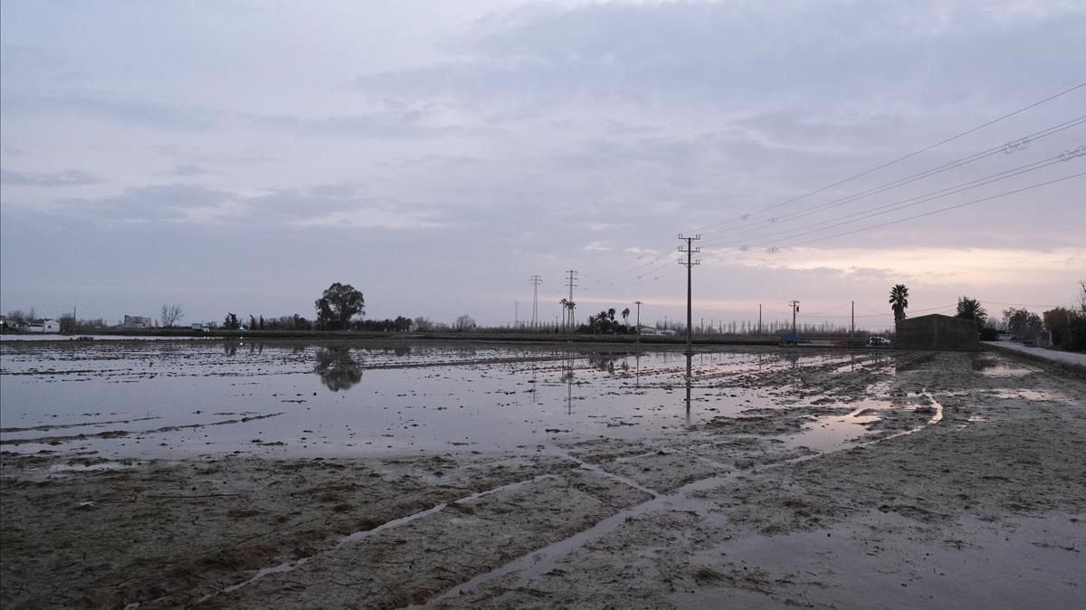 Zona cercana a Riumar (Baix Ebre) en el Delta del Ebre, inundada por el temporal ’Glòria’, el 24 de enero pasado. Zona cercana a Riumar (Baix Ebre) en el Delta del Ebre, inundada por el temporal ’Glòria’, el 24 de enero pasado.