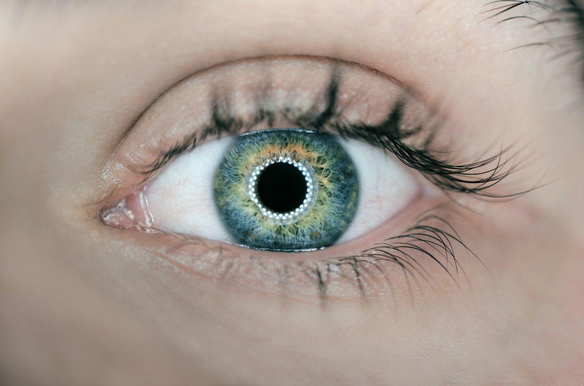 Los ojos revelan lo que sucede en el cerebro
