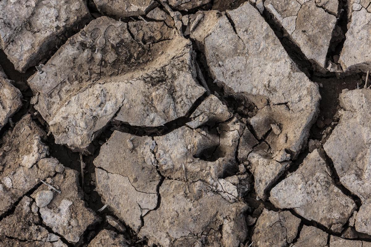 El pantano de Sau con visibles efectos de la sequía. 