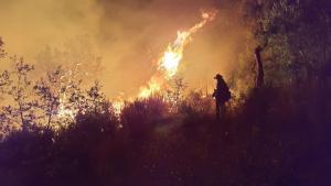 Un bombero extingue las llamas del incendio de Les Gavarres.