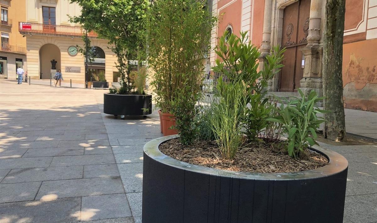 Mataró instal·la jardineres ornamentals al centre per «embellir el principal eix cívic de la ciutat»