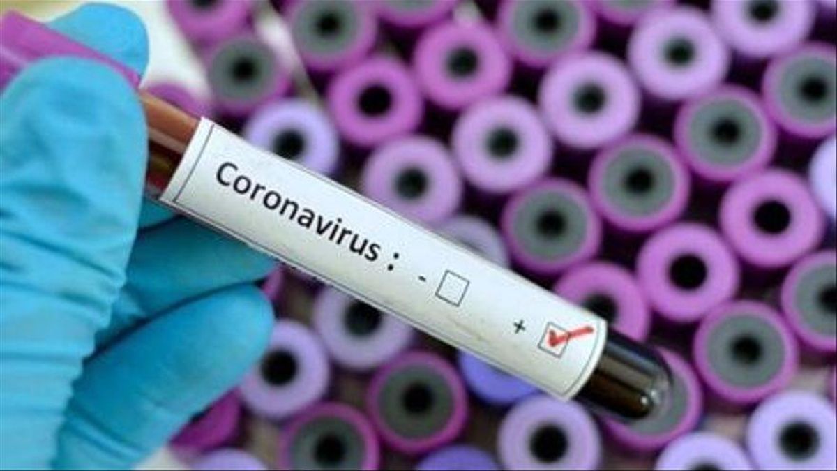 Ensayos en un laboratorio de la vacuna del coronavirus. Ensayos en un laboratorio de la vacuna del coronavirus.