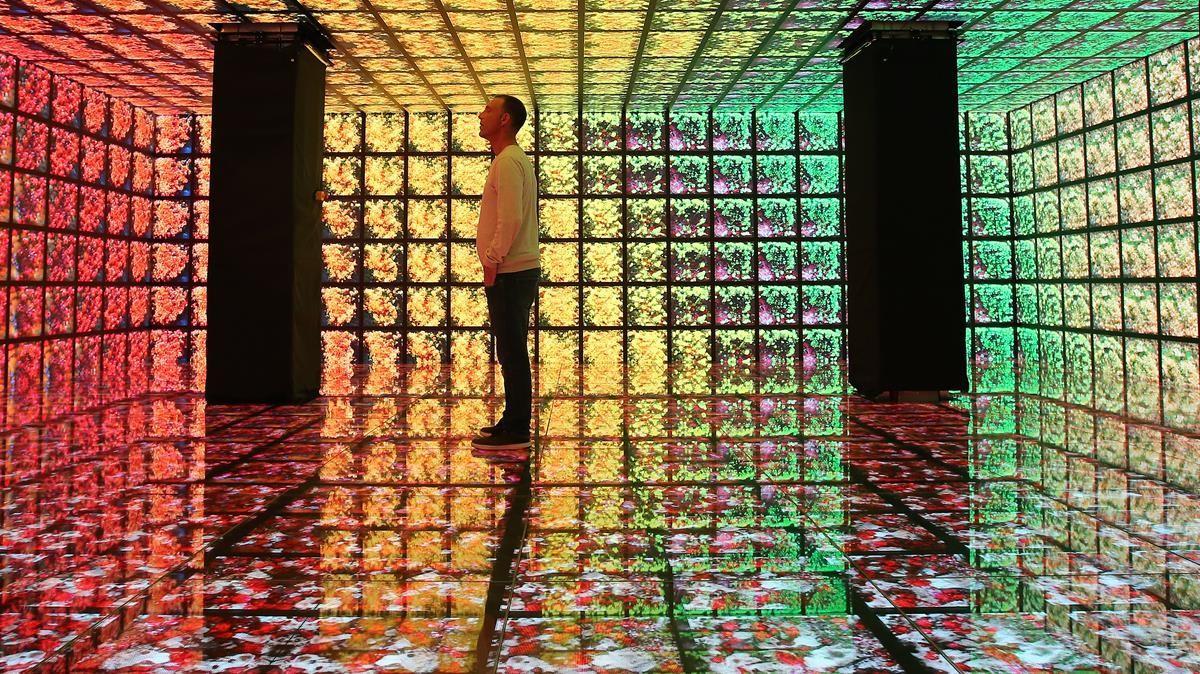 La Casa Batlló presenta este jueves ’10D Experience’, un viaje multisensorial a través de la Inteligencia Artificial, la realidad aumentada y el ’machine learning’.