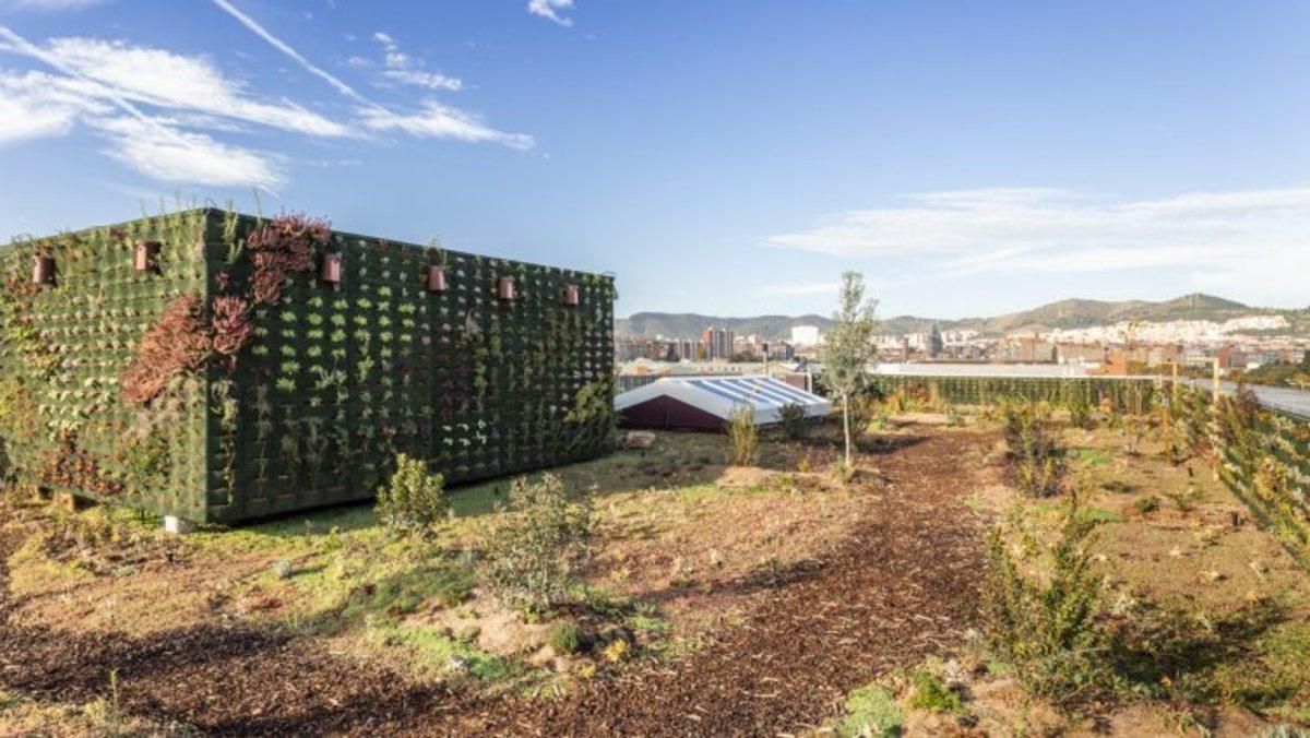 Cubierta verde en Barcelona. Cubierta verde en Barcelona.