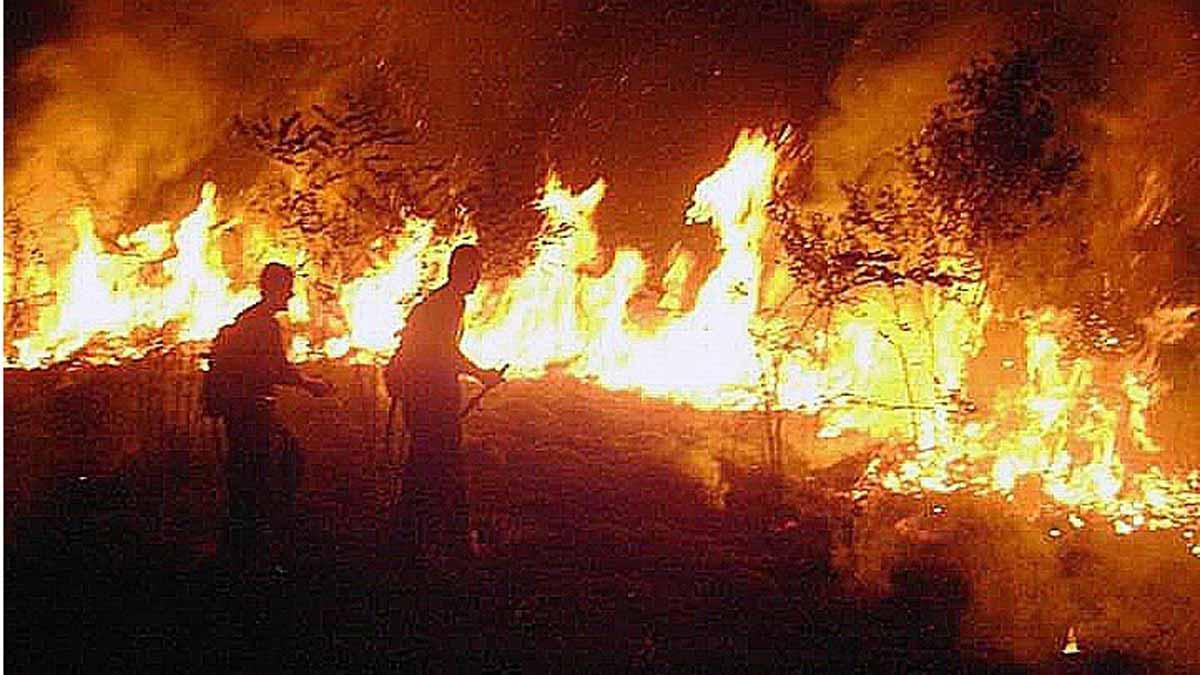 Brasil despliega a miles de hombres para combatir los incendios en la amazonia.