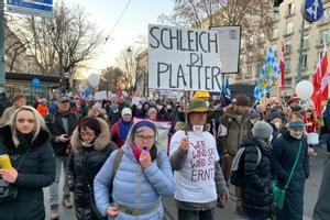 Miles de personas se manifiestan en Viena, Austria, contra la vacunación obligatoria. 