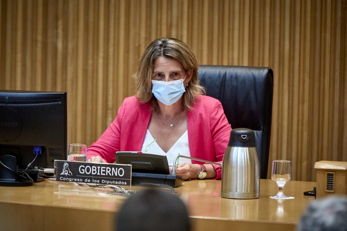 La vicepresidenta tercera, Teresa Ribera, en la Comisión de Transición Ecológica del Congreso
