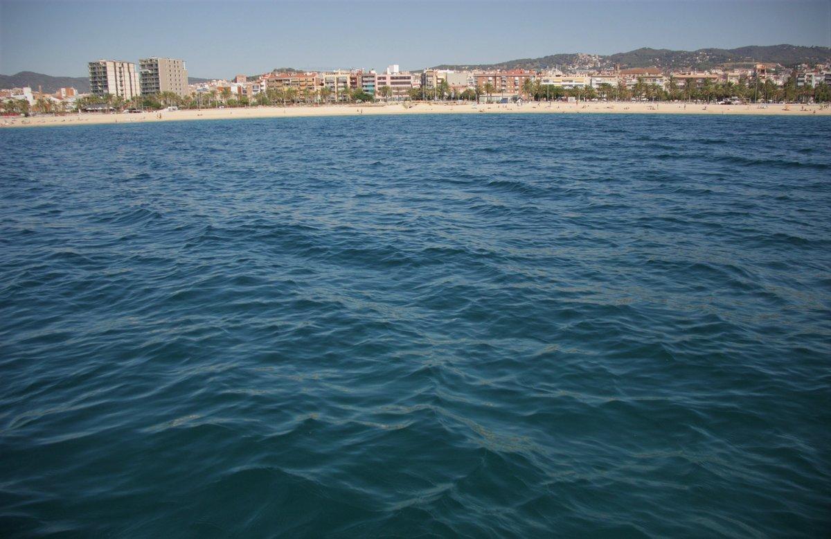 La costa de Mataró, justo encima del área protegida donde está la posidonia.