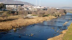Santa Coloma de Gramenet inicia la renaturalización del río Besòs.