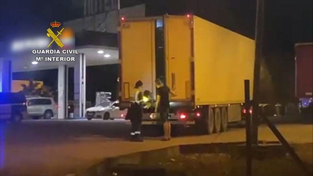 Interceptan un camión que salió de Málaga con 300 kilos de hachís y marihuana entre 16 toneladas de coliflores Interceptan un camión que salió de Málaga con 300 kilos de hachís y marihuana entre 16 toneladas de coliflores