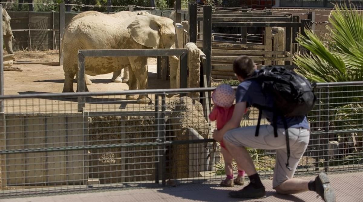 La zona temática de la sabana del Zoo de Barcelona. La zona temática de la sabana del Zoo de Barcelona.