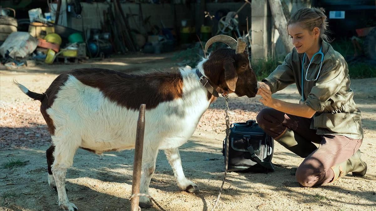 Una imagen de ’Una veterinaria en Borgoña’. Una imagen de ’Una veterinaria en Borgoña’.