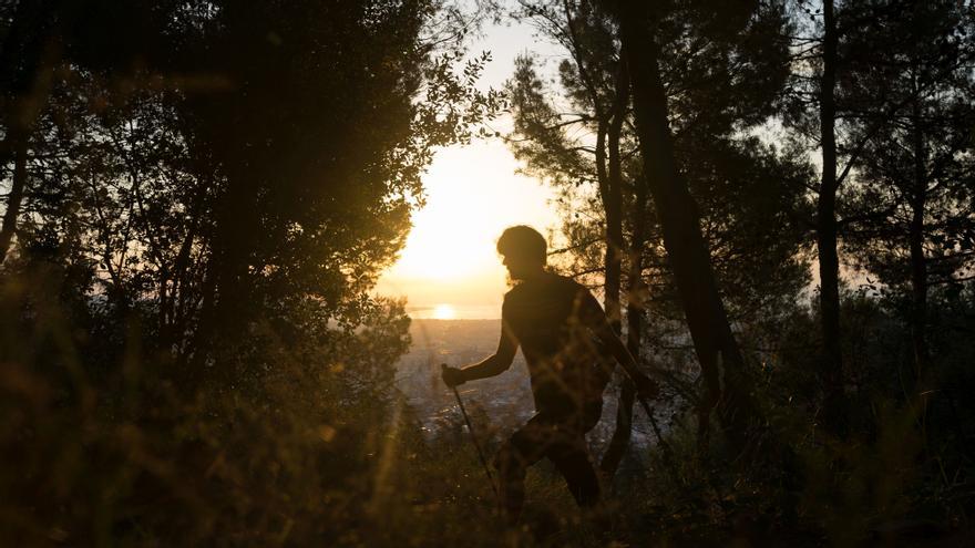 Estas son las restricciones que ha aprobado Catalunya para evitar incendios forestales - Vimarsana News
