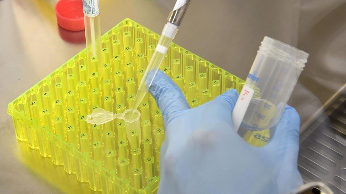 Trabajos en un laboratorio, en una imagen de recurso. Trabajos en un laboratorio, en una imagen de recurso.