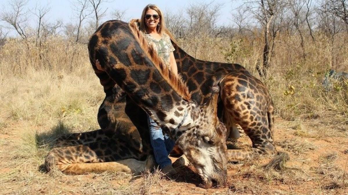 La norteamericana Tess Thompson Talley posando junto al cadáver de una jirafa