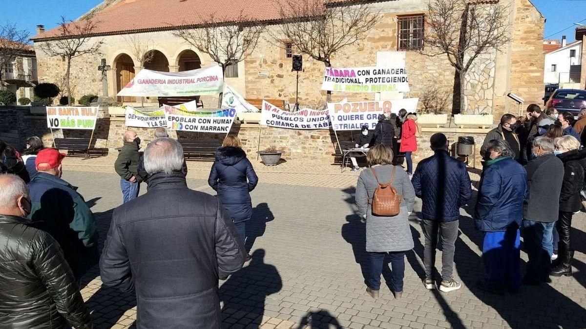 Macrogranjas en Zamora: “Quieren repoblar la provincia de cerdos y vaciarla de personas” Macrogranjas en Zamora: “Quieren repoblar la provincia de cerdos y vaciarla de personas”