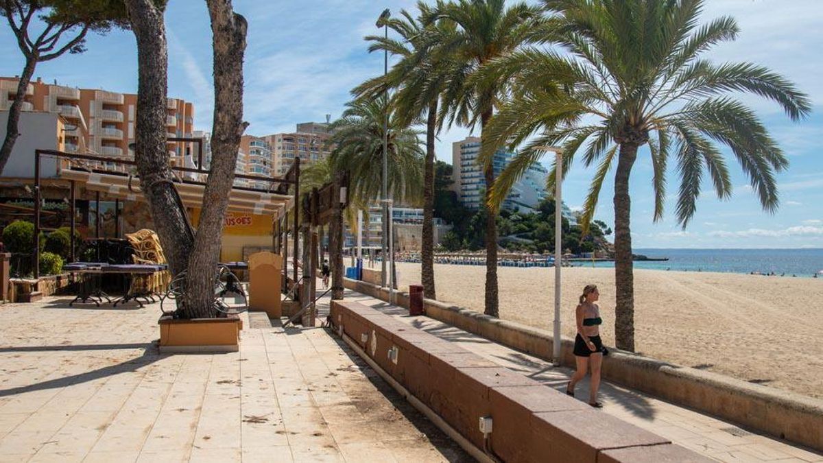 Vuelta del turismo británico a Baleares: "Nos puede pasar como a Portugal" Vuelta del turismo británico a Baleares: "Nos puede pasar como a Portugal"