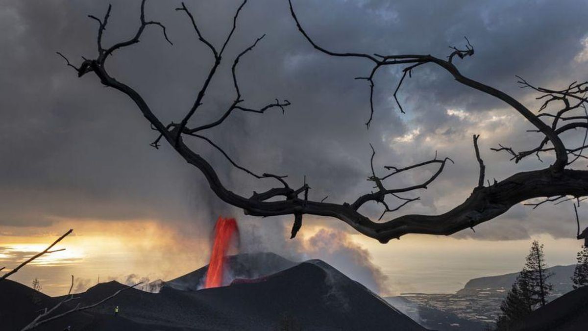 El volcán de la Palma seguirá activo un mínimo de dos semanas El volcán de la Palma seguirá activo un mínimo de dos semanas