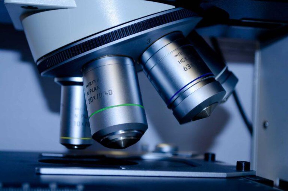 Inteligencia artificial para identificar mutaciones de cada tipo de cáncer Inteligencia artificial para identificar mutaciones de cada tipo de cáncer