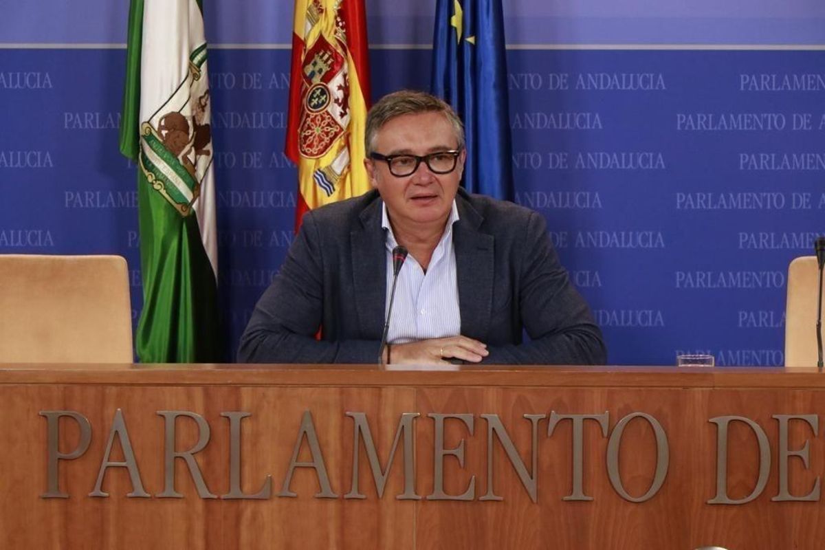 Manuel Gavira sustituye a Olona como portavoz de Vox en Andalucía Manuel Gavira sustituye a Olona como portavoz de Vox en Andalucía