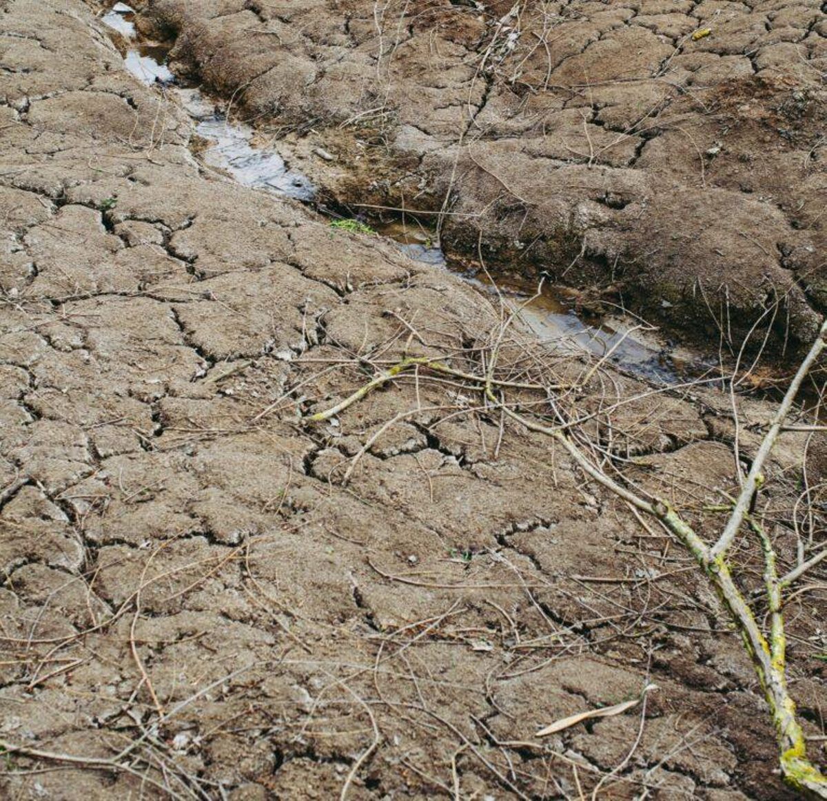 El cambio climático podría dejarnos sin alimentos El cambio climático podría dejarnos sin alimentos