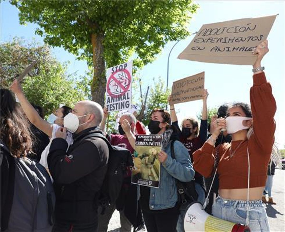Protesta a las puertas del laboratorio Vivotecnia, en Madrid. Protesta a las puertas del laboratorio Vivotecnia, en Madrid.