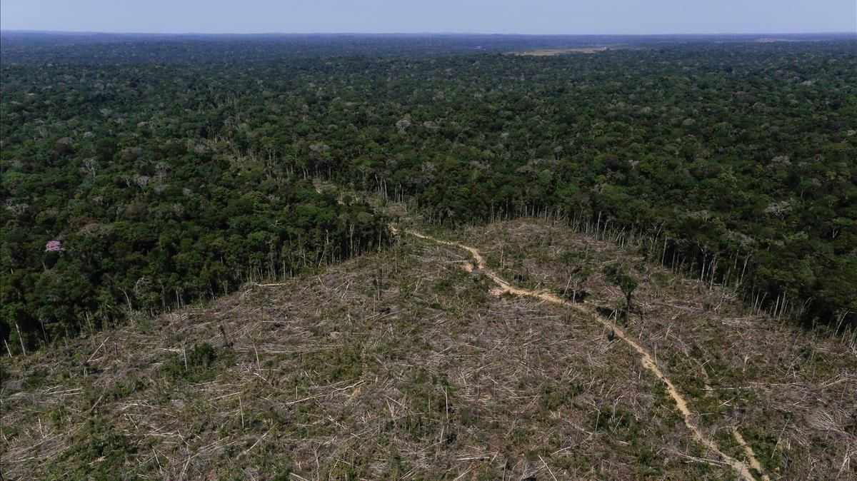 El Brasil permet l'explotació minera de 4,7 milions d'hectàrees a l'Amazònia El Brasil permet l'explotació minera de 4,7 milions d'hectàrees a l'Amazònia
