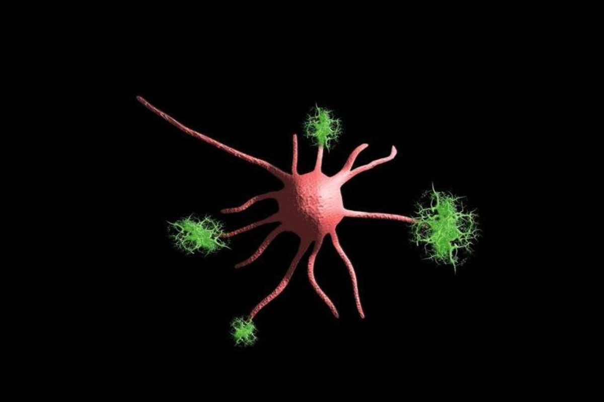 Las neuronas saben cómo reparar los daños genéticos del envejecimiento y la enfermedad Las neuronas saben cómo reparar los daños genéticos del envejecimiento y la enfermedad