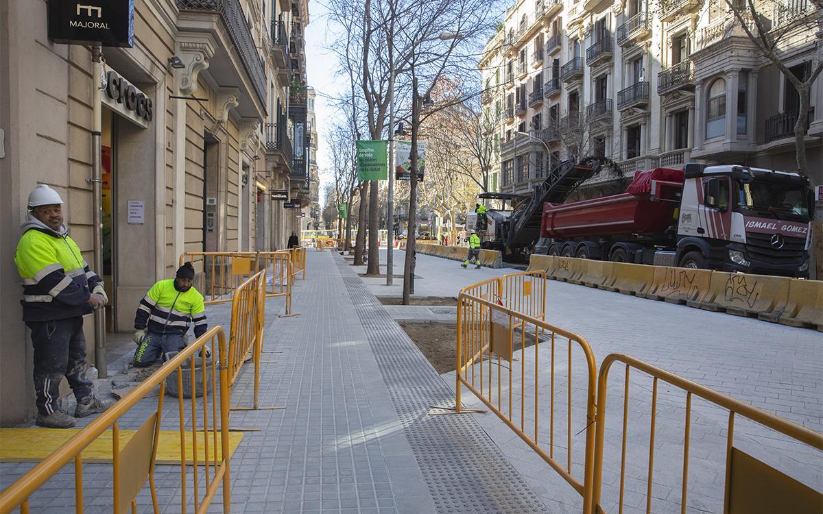 Rèplica municipal a la carta "arbres arrencats sense motiu a Barcelona"