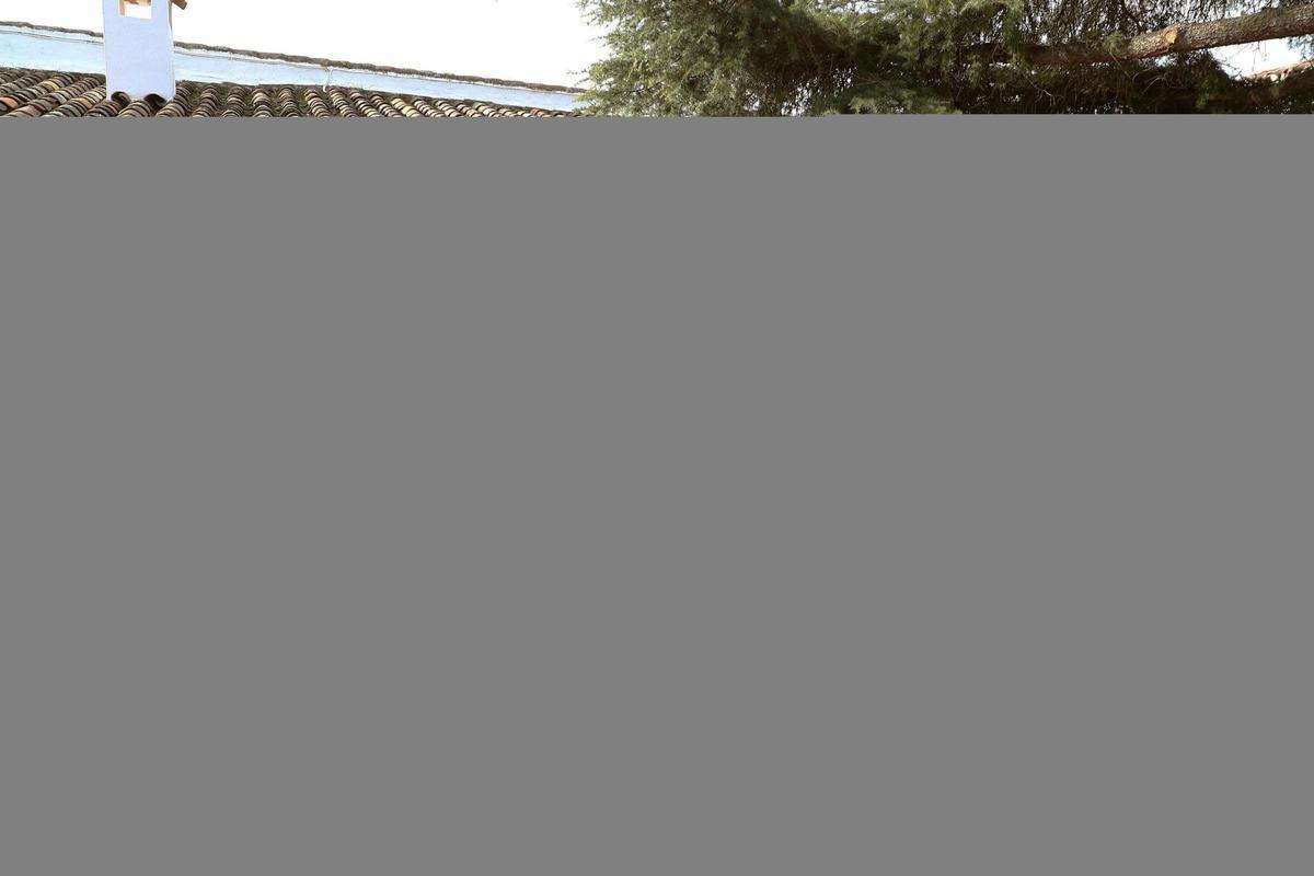 Pedro Sánchez con los ministros de su Gobierno en febrero de 2020 en una finca en Quintos de Mora Pedro Sánchez con los ministros de su Gobierno en febrero de 2020 en una finca en Quintos de Mora