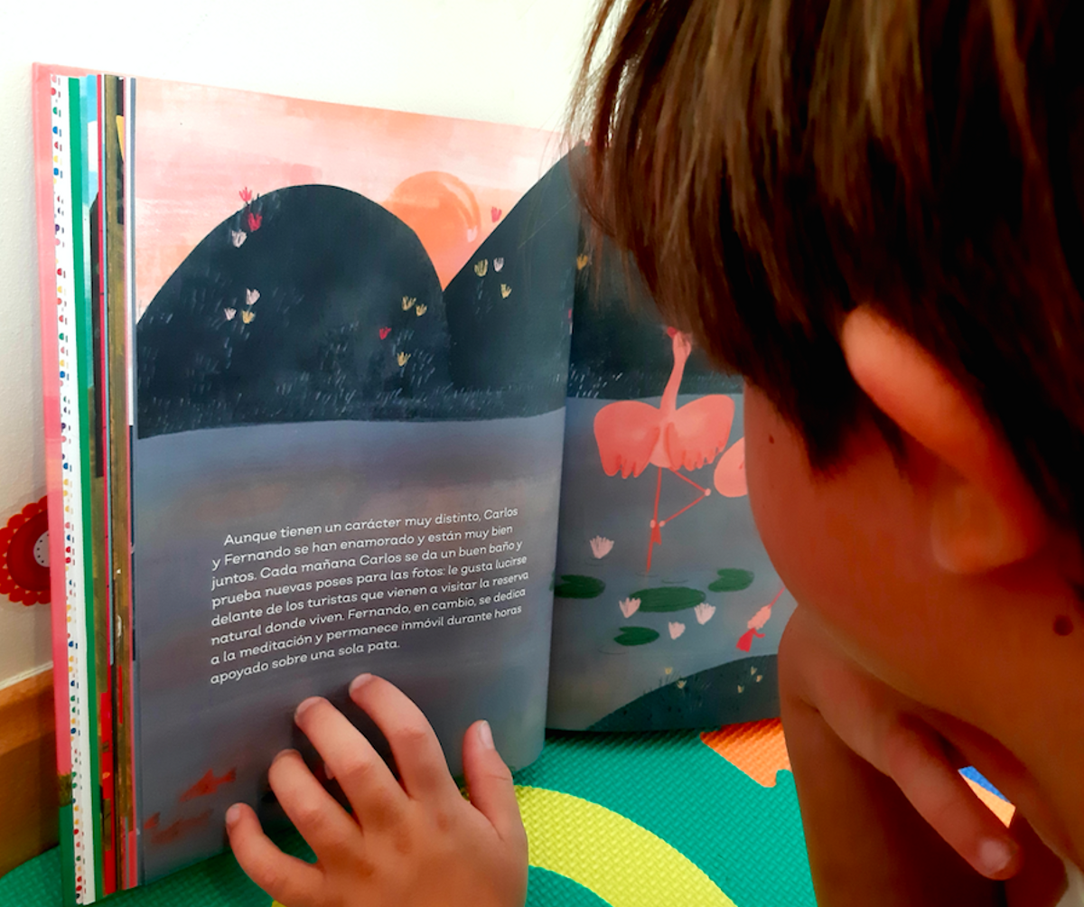 Un niño lee la historia de Carlos y Fernando, dos flamencos machos enamorados, en el libro ’Familias fabulosas’ Un niño lee la historia de Carlos y Fernando, dos flamencos machos enamorados, en el libro ’Familias fabulosas’