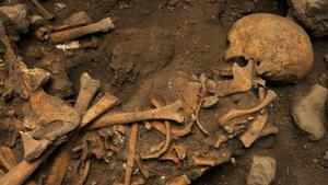 L'humà d'Atapuerca era caníbal pel seu baix cost