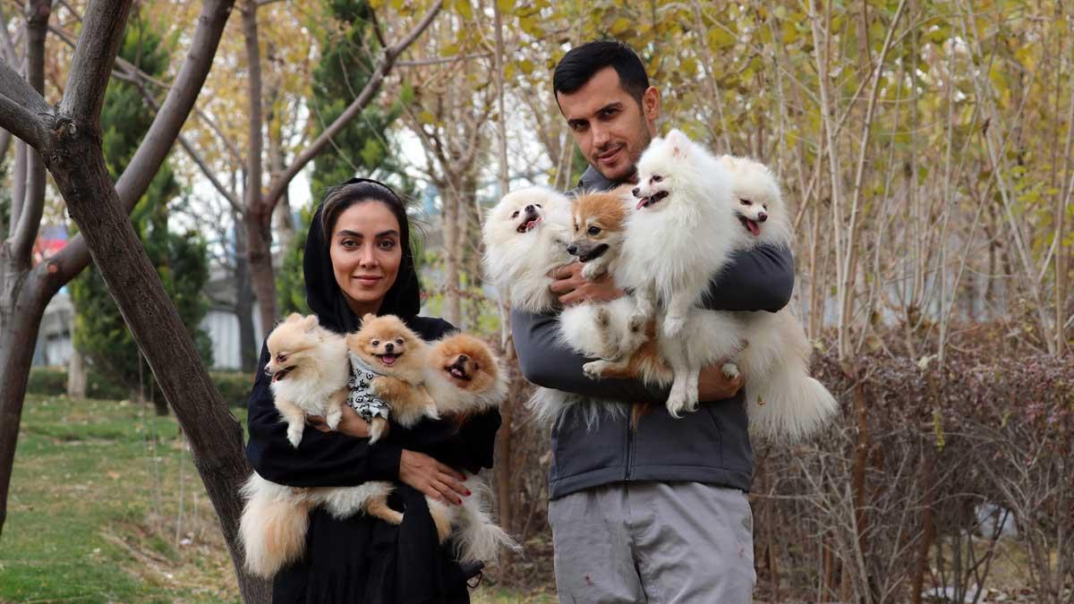L’Iran es planteja prohibir gossos i gats com a mascotes per «impurs»